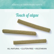 Cerea Eurostar Vegane Meeresalgen Kaustange klein (12,5cm) NICHT BIO Hund Snack Antos